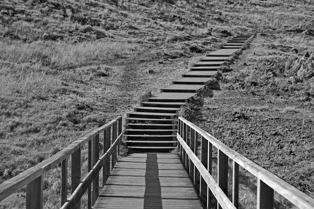 Psychological therapies